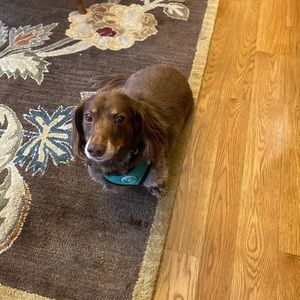 Meet your Posher, William g